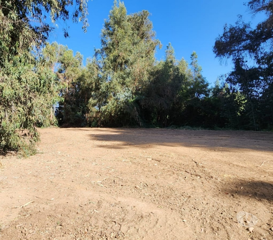 Parcelas en Venta Cachapoal Machal - Fotos de Terreno La Campiña , Machalí