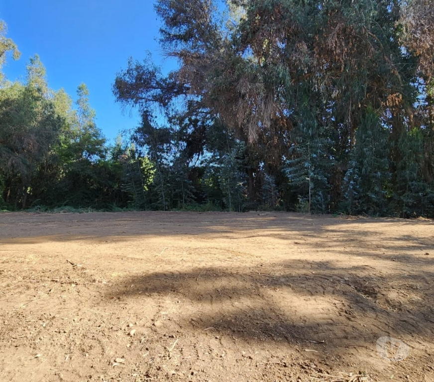 Parcelas en Venta Cachapoal Machal - Fotos de Terreno La Campiña , Machalí