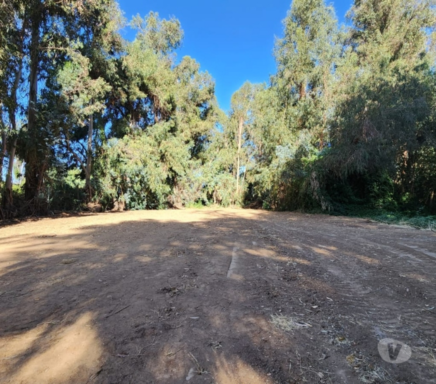 Parcelas en Venta Cachapoal Machal - Fotos de Terreno La Campiña , Machalí