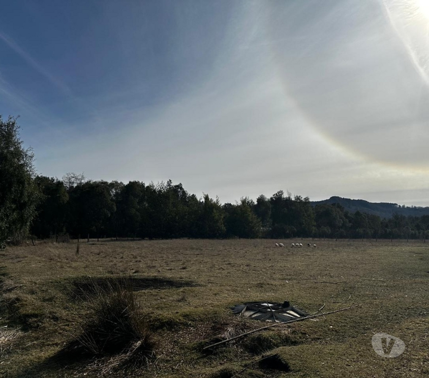 Bienes Raices Cautín Temuco - Fotos de Vende Parcela 5000 m2 con casa Agua, Luz. Faja 10000 Cunco
