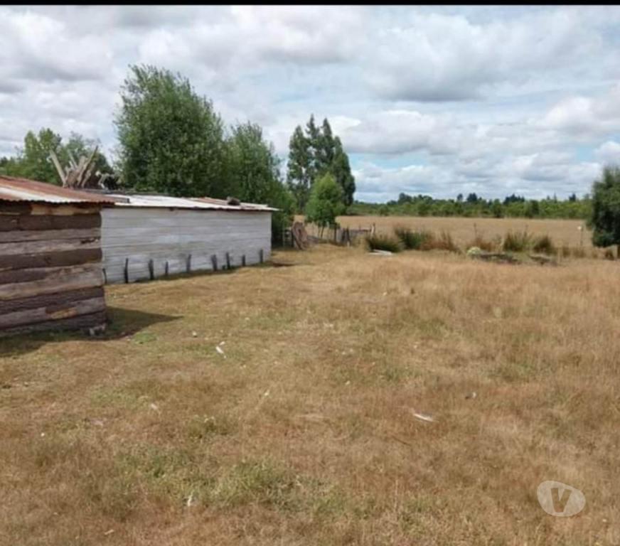 Bienes Raices Cautín Temuco - Fotos de Vende Parcela 5000 m2 con casa Agua, Luz. Faja 10000 Cunco