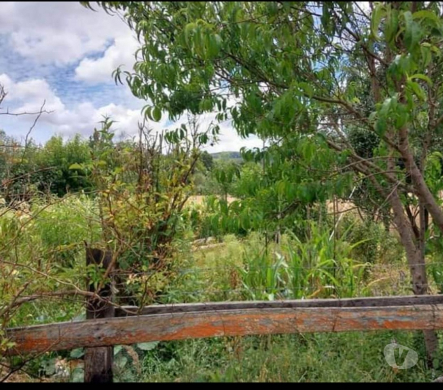 Bienes Raices Cautín Temuco - Fotos de Vende Parcela 5000 m2 con casa Agua, Luz. Faja 10000 Cunco