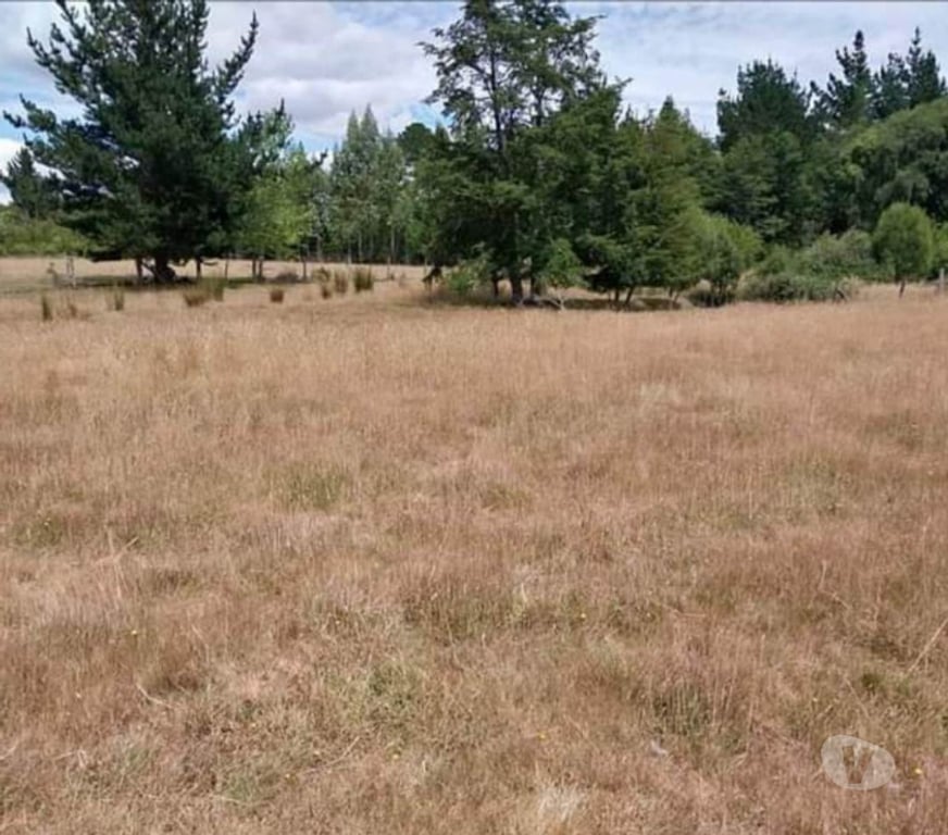 Bienes Raices Cautín Temuco - Fotos de Vende Parcela 5000 m2 con casa Agua, Luz. Faja 10000 Cunco