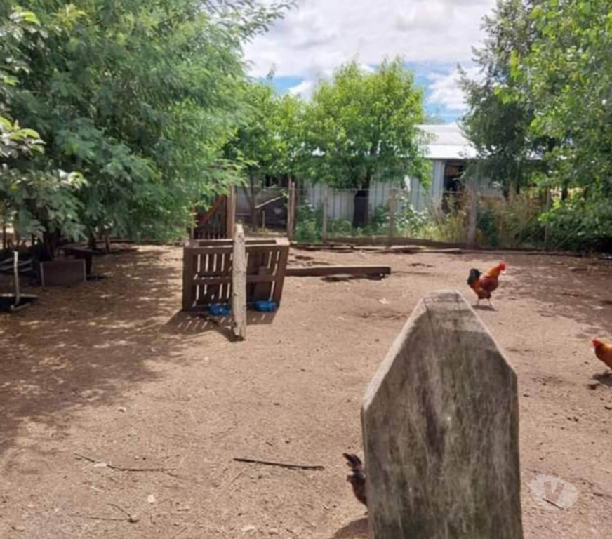 Bienes Raices Cautín Temuco - Fotos de Vende Parcela 5000 m2 con casa Agua, Luz. Faja 10000 Cunco