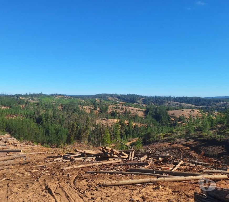 Parcelas en Venta Cardenal Caro Paredones - Fotos de Terreno Cercano a Paredones