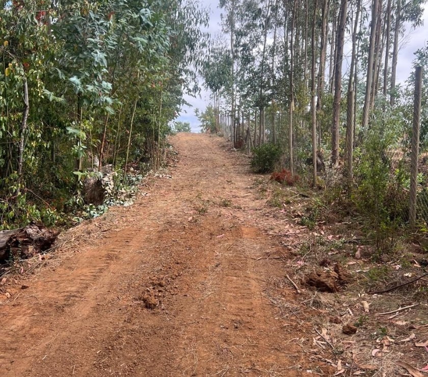 Terreno El Congui , Pichilemu