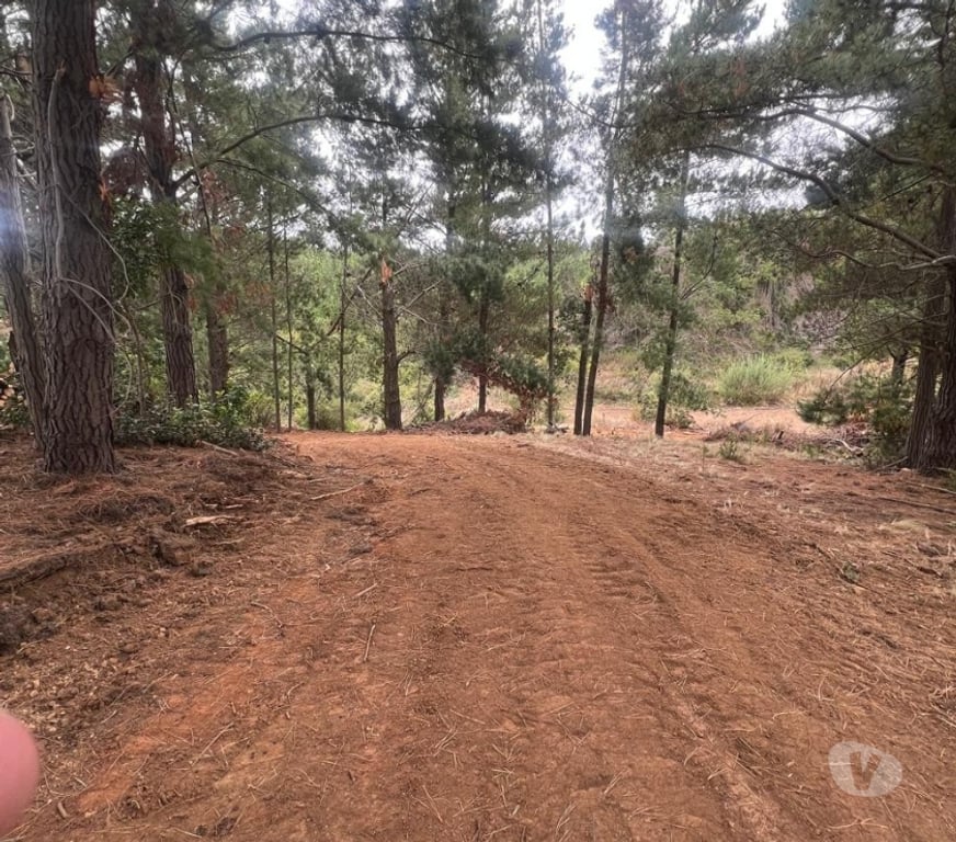 Parcelas en Venta Cardenal Caro Pichilemu - Fotos de Terreno El Congui , Pichilemu
