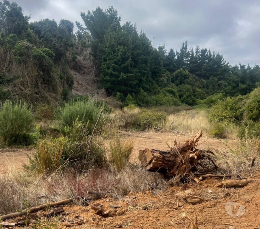 Parcelas en Venta Cardenal Caro Pichilemu - Fotos de Terreno El Congui , Pichilemu
