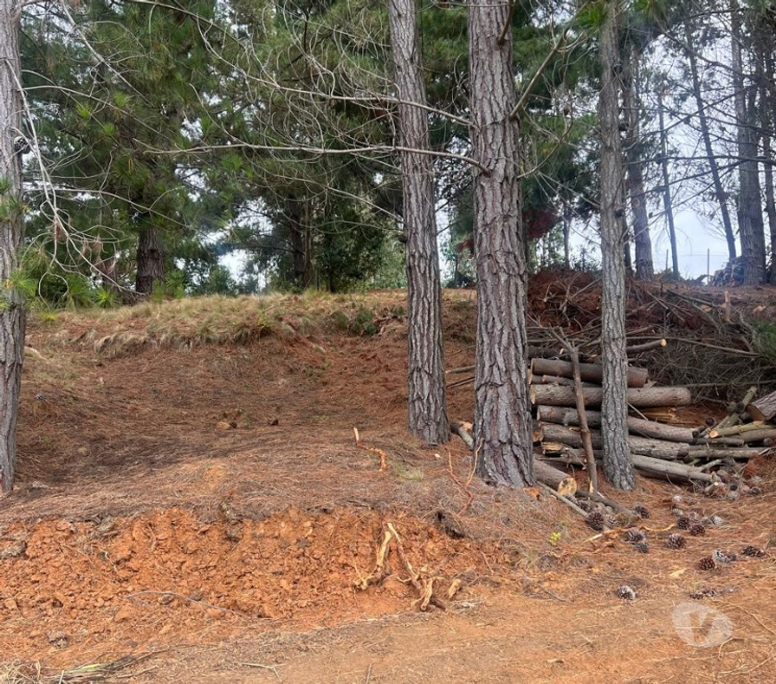 Parcelas en Venta Cardenal Caro Pichilemu - Fotos de Terreno El Congui , Pichilemu