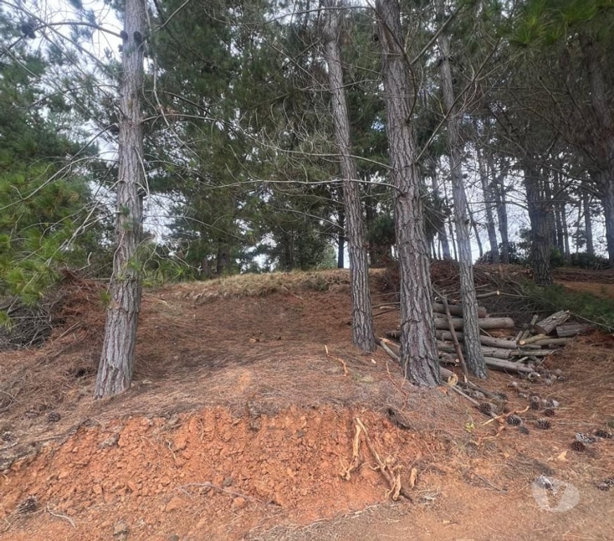 Parcelas en Venta Cardenal Caro Pichilemu - Fotos de Terreno El Congui , Pichilemu