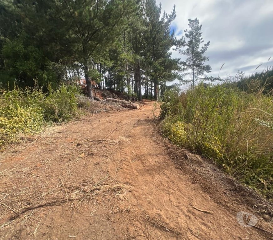 Parcelas en Venta Cardenal Caro Pichilemu - Fotos de Terreno El Congui , Pichilemu