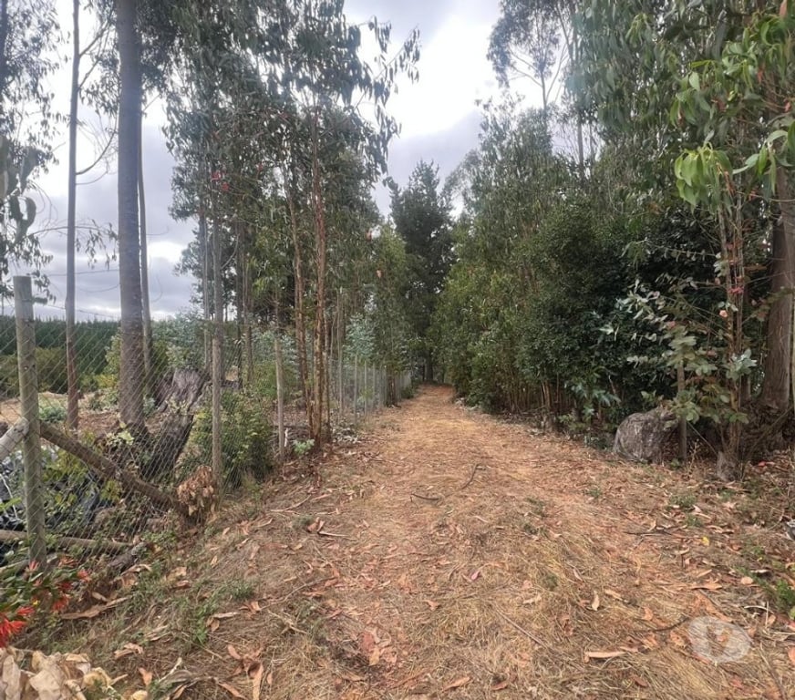 Parcelas en Venta Cardenal Caro Pichilemu - Fotos de Terreno El Congui , Pichilemu