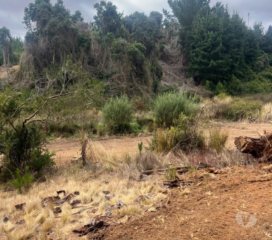 Parcelas en Venta Cardenal Caro Pichilemu - Fotos de Terreno El Congui , Pichilemu