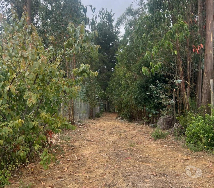 Parcelas en Venta Cardenal Caro Pichilemu - Fotos de Terreno El Congui , Pichilemu
