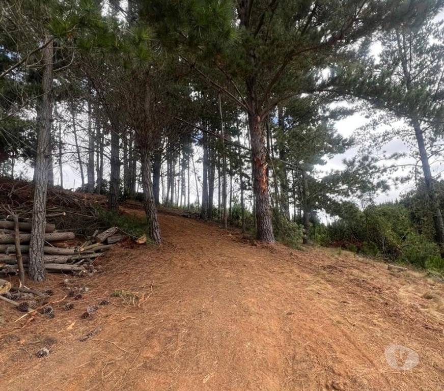 Parcelas en Venta Cardenal Caro Pichilemu - Fotos de Terreno El Congui , Pichilemu
