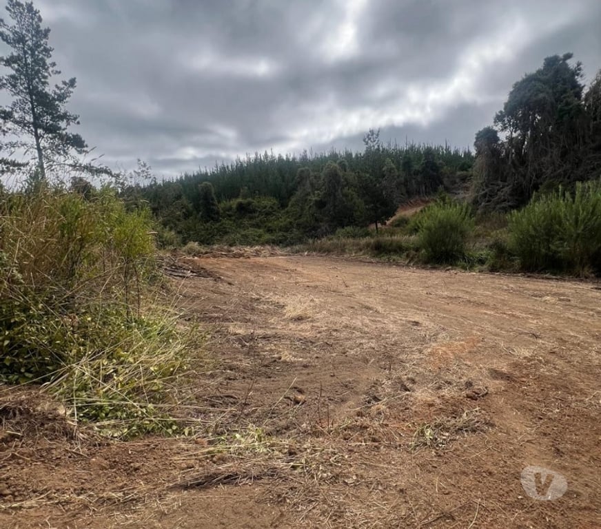 Parcelas en Venta Cardenal Caro Pichilemu - Fotos de Terreno El Congui , Pichilemu