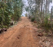 Fotos de Terreno El Congui , Pichilemu