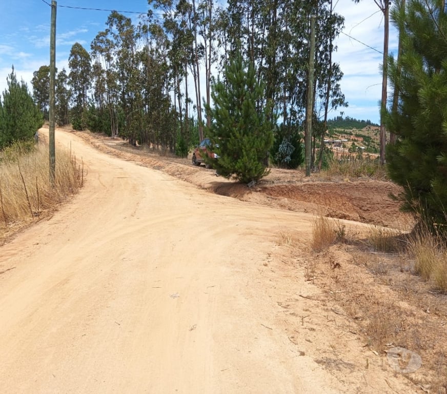 Parcelas en Venta Cardenal Caro Paredones - Fotos de Terreno Paredones