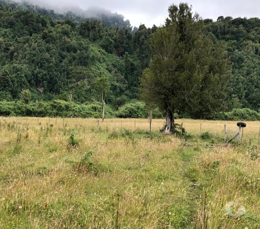 Parcelas en Venta Ranco Lago Ranco - Fotos de Valle Riñinahue, para disfrutar la vida en familia