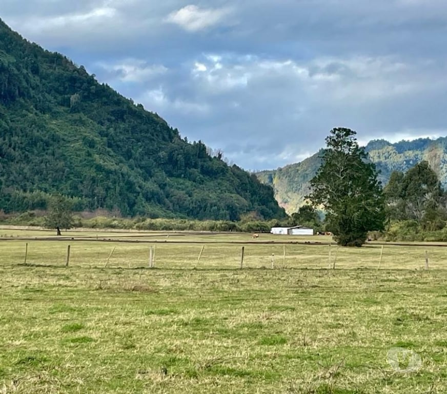 Parcelas en Venta Ranco Lago Ranco - Fotos de Valle Riñinahue, para disfrutar la vida en familia
