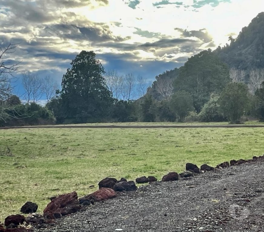Parcelas en Venta Ranco Lago Ranco - Fotos de Valle Riñinahue, para disfrutar la vida en familia