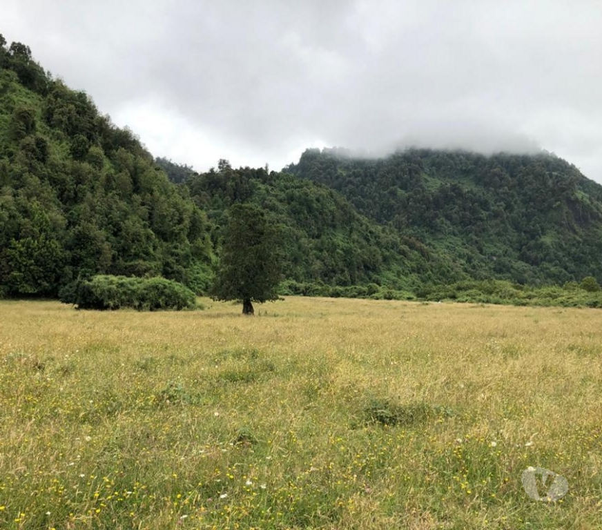 Parcelas en Venta Ranco Lago Ranco - Fotos de Valle Riñinahue, para disfrutar la vida en familia