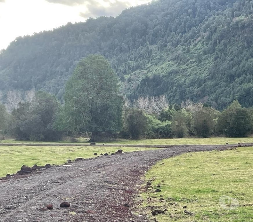 Parcelas en Venta Ranco Lago Ranco - Fotos de Valle Riñinahue, para disfrutar la vida en familia