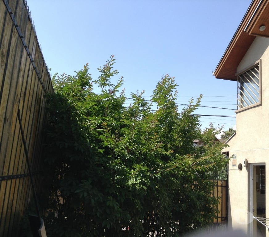 Bienes Raices Santiago Peñalolén - Fotos de Casa con Patente Comercial en Venta