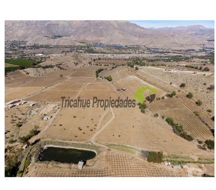 Parcelas en Venta Vicuña Elqui - Fotos de Parcelas con agua de riego y crédito directo, Vicuña.