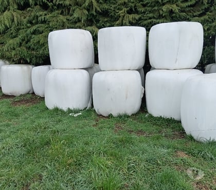 Alambrados para Campo Frutillar Llanquihue - Fotos de Bolos pradera natural