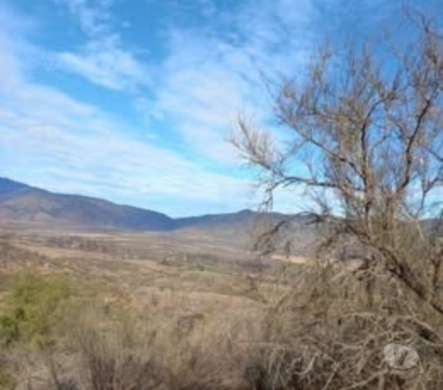Parcelas en Venta Melipilla Melipilla - Fotos de Parcela 38.000 mts2 con casa grande , Melipilla