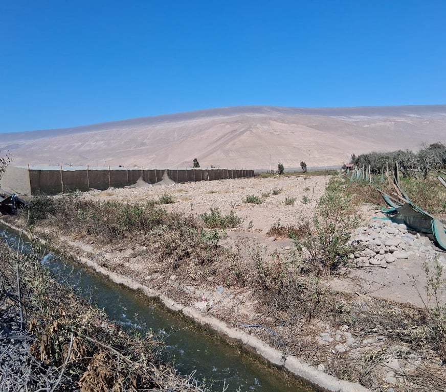 Parcelas en Venta Arica Arica - Fotos de Vendo terreno agricola de 5000 mts cuadrado valle azapa km21