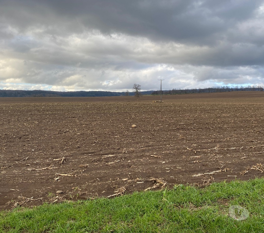 Venta de Haciendas Ranco Futrano - Fotos de Fundo agricola cerca de futrono