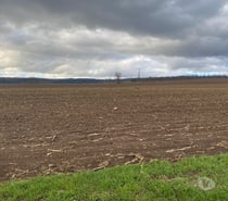 Fundo agricola cerca de futrono