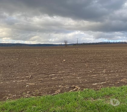 Fundos en Venta Futrano Ranco - Fotos de Fundo agricola cerca de futrono