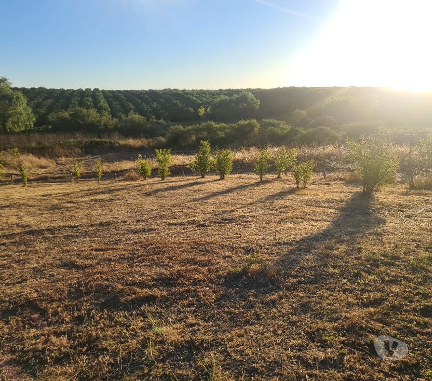 Parcelas en Venta Linares Retiro - Fotos de Casa en parcela