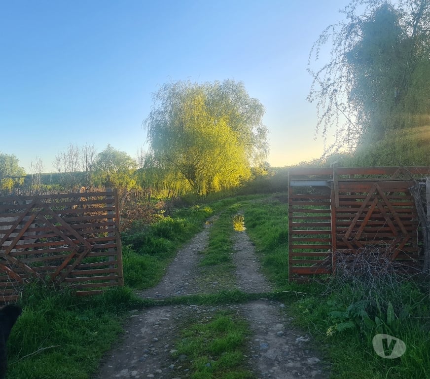 Parcelas en Venta Linares Retiro - Fotos de Casa en parcela