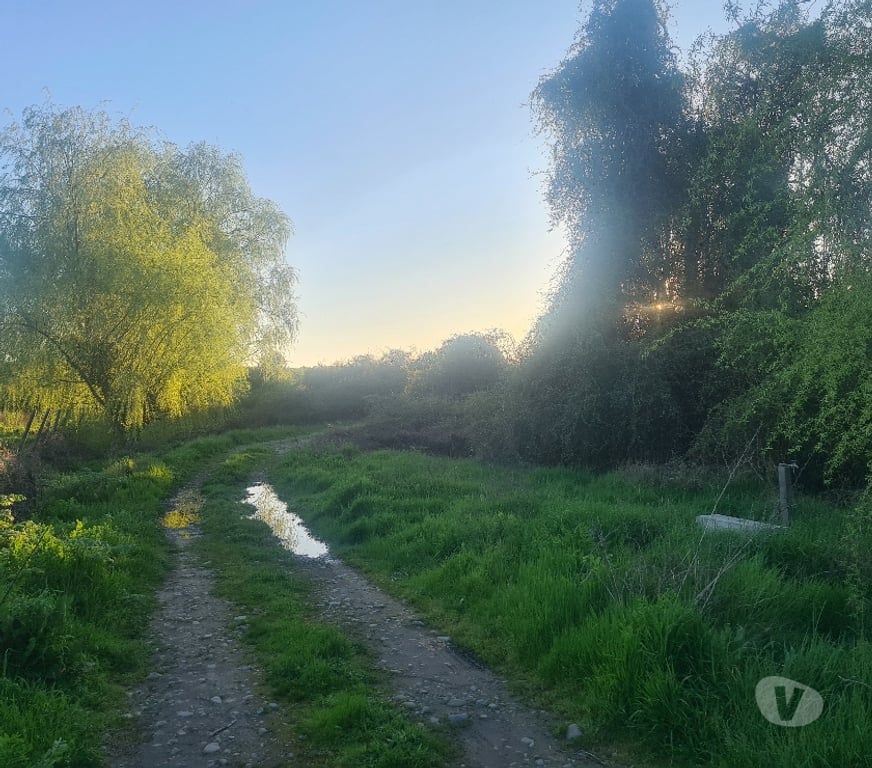 Parcelas en Venta Linares Retiro - Fotos de Casa en parcela