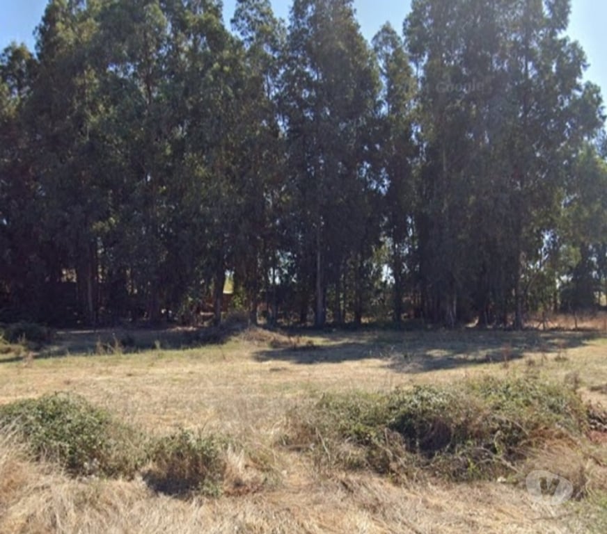 Parcelas en Venta Colchagua Palmilla - Fotos de Vendo Terreno 1.000m2 ubicación Palmilla