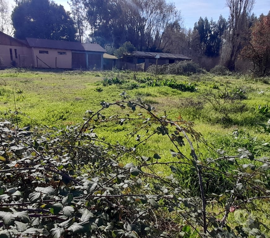 Parcelas en Venta Colchagua Santa Cruz - Fotos de Vendo 2.500m2 ubicación Isla de Yaquil Santa Cruz