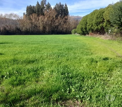 Terrenos Santa Cruz Colchagua - Fotos de Vendo 5.000m2 ubicación La Finca de Yaquil Santa Cruz
