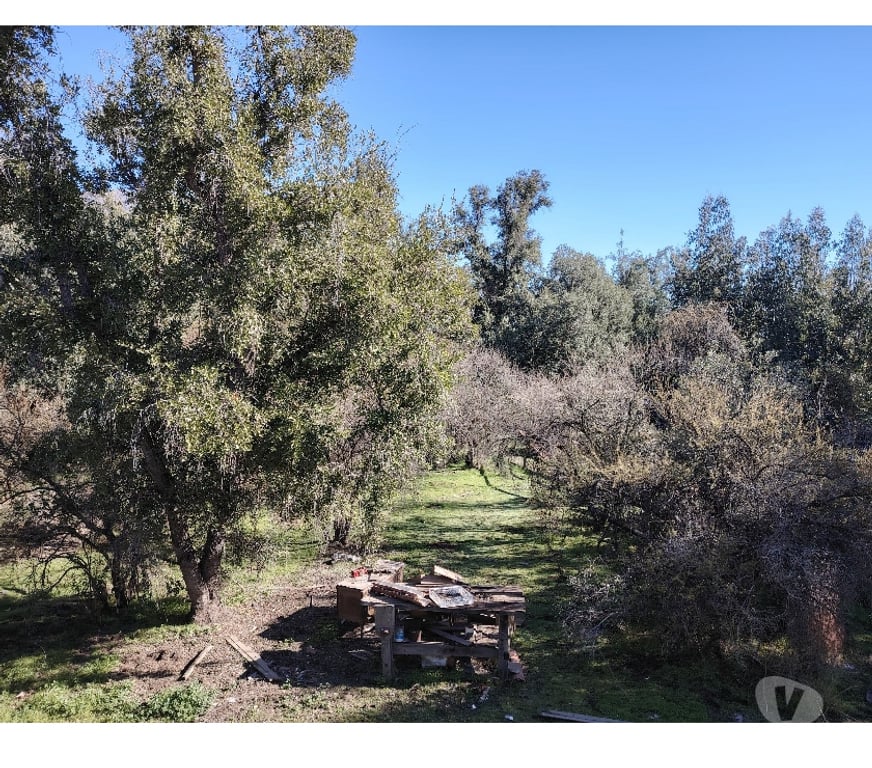 Parcelas en Venta Cordillera Pirque - Fotos de Parcela en El Principal de Pirque