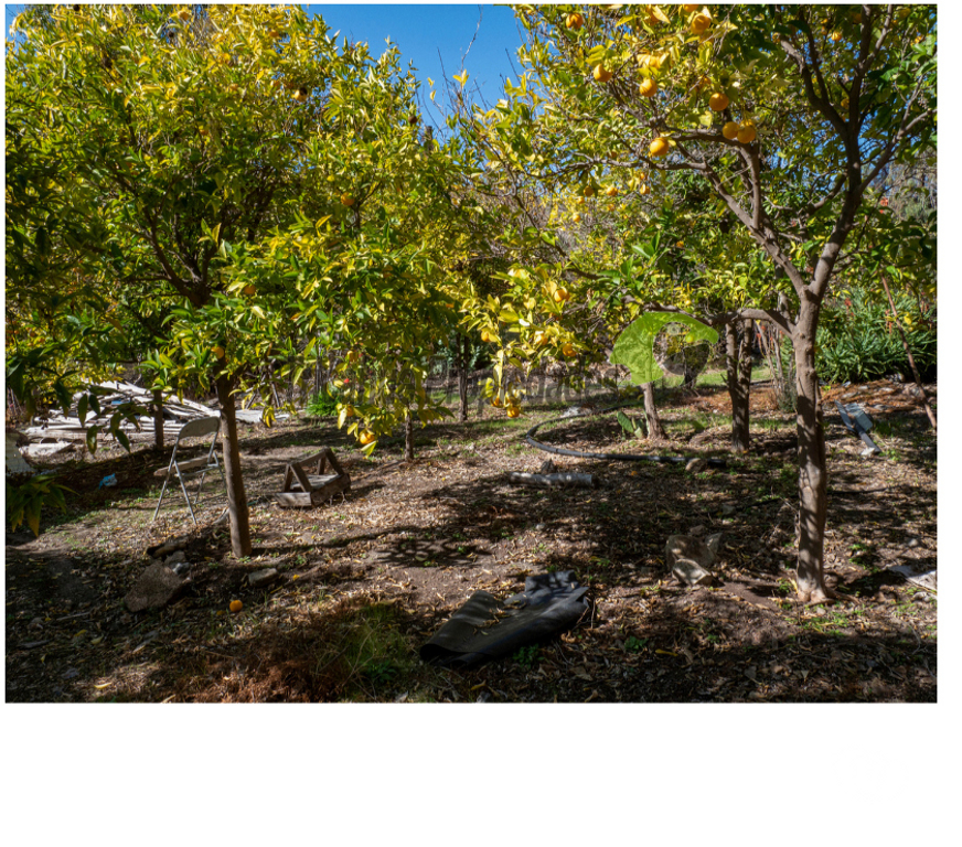 Parcelas en Venta Limarí Punitaqui - Fotos de Venta de Terrenos en Punitaqui de 3.5 y 2.5 hectáreas