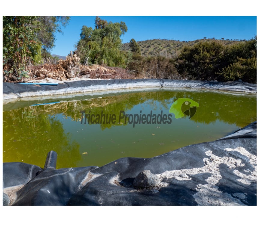 Parcelas en Venta Limarí Punitaqui - Fotos de Venta de Terrenos en Punitaqui de 3.5 y 2.5 hectáreas