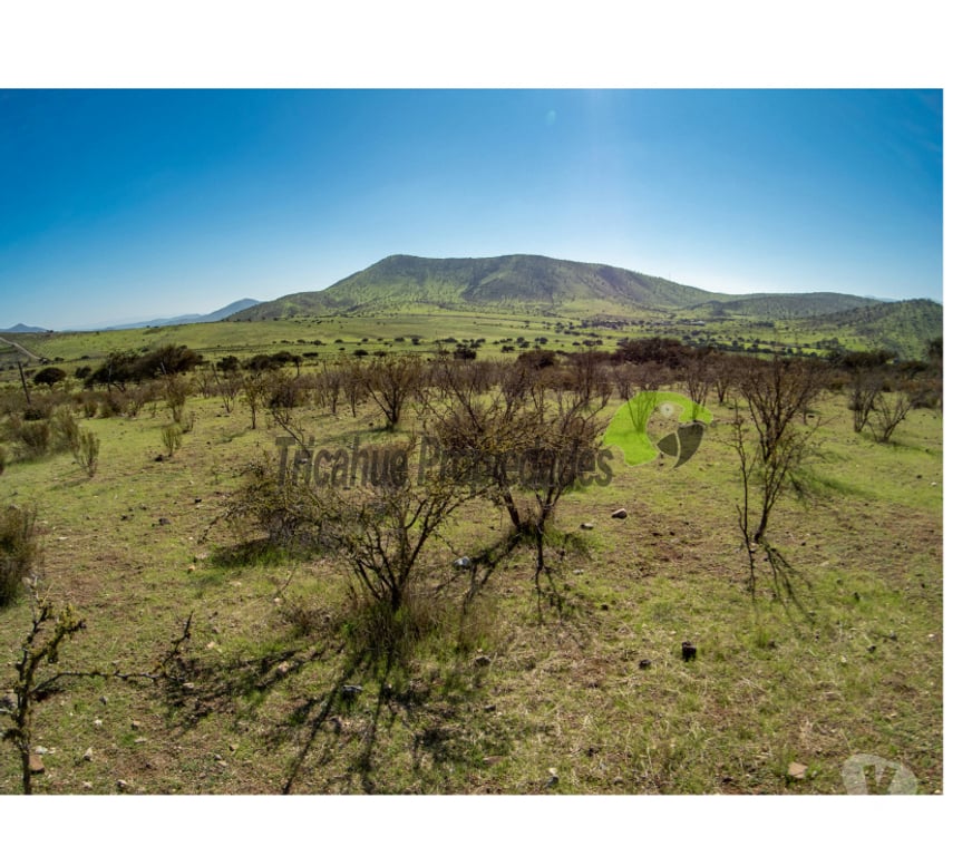 Parcelas en Venta Limarí Punitaqui - Fotos de Venta de Terrenos en Punitaqui de 3.5 y 2.5 hectáreas