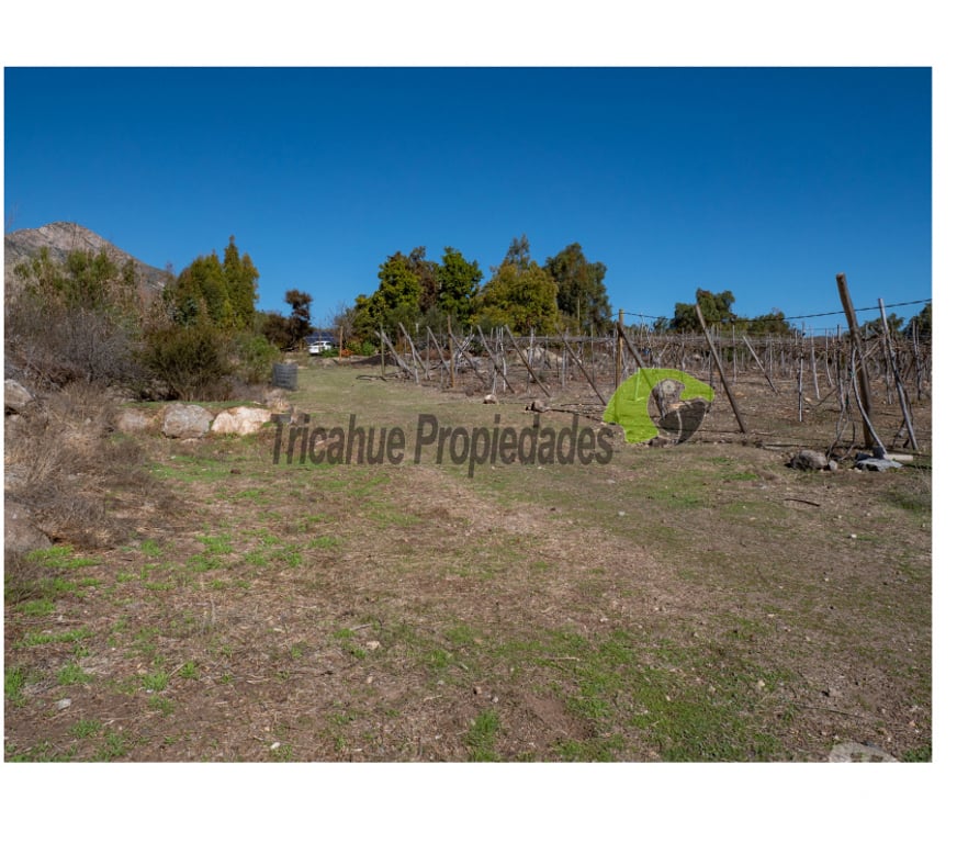 Parcelas en Venta Limarí Punitaqui - Fotos de Venta de Terrenos en Punitaqui de 3.5 y 2.5 hectáreas