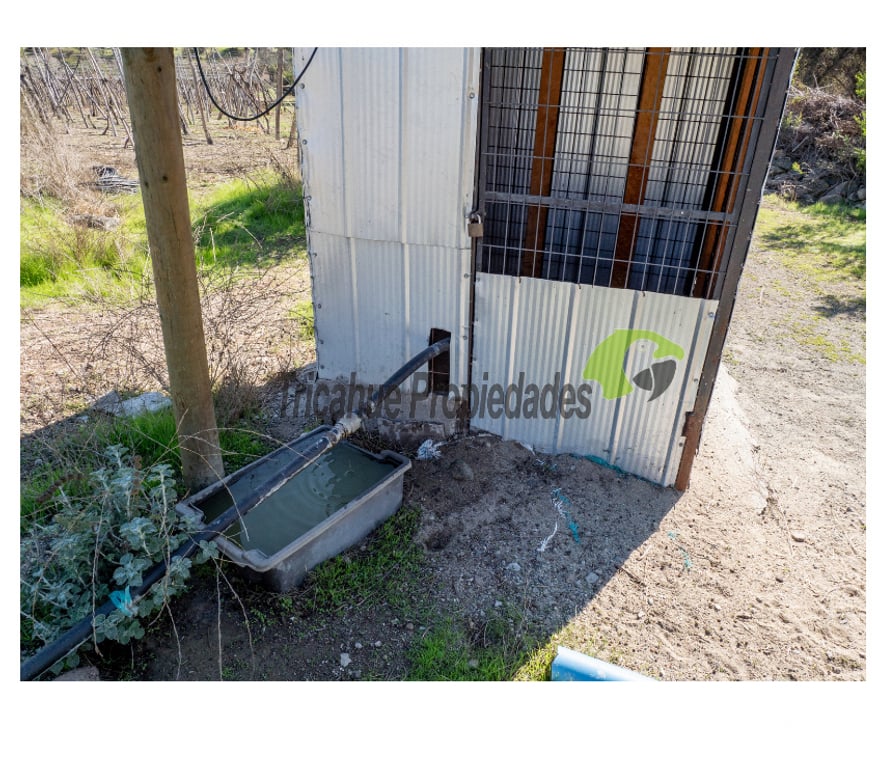 Parcelas en Venta Limarí Punitaqui - Fotos de Venta de Terrenos en Punitaqui de 3.5 y 2.5 hectáreas