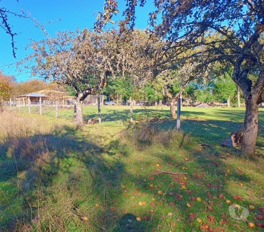 Parcelas en Venta Cautín Villarrica - Fotos de Parcela de ensueño entre Lago Villarrica y Calafquén