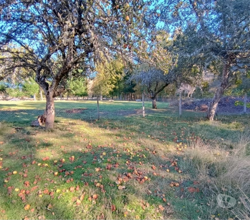 Parcelas en Venta Cautín Villarrica - Fotos de Parcela de ensueño entre Lago Villarrica y Calafquén