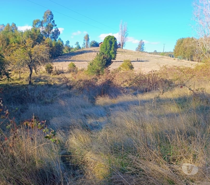 Parcelas en Venta Cautín Villarrica - Fotos de Parcela de ensueño entre Lago Villarrica y Calafquén